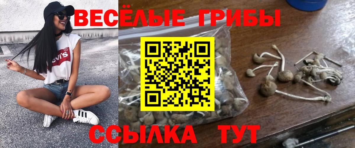 Галлюциногенные грибы Cubensis  Псилоцибиновые грибы MAGIC MUSHROOMS  Вход с VPN  Дивногорск 