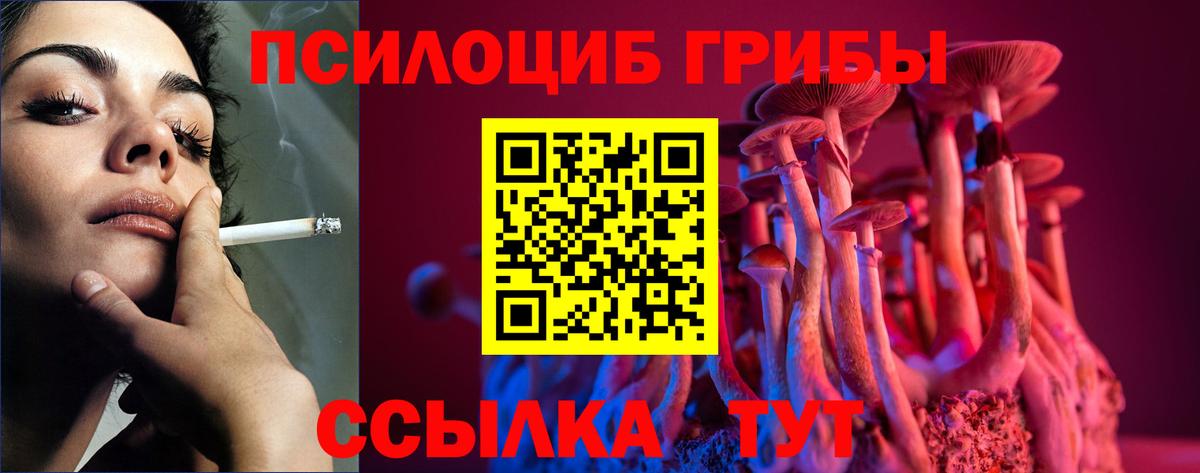 APVP Дивногорск